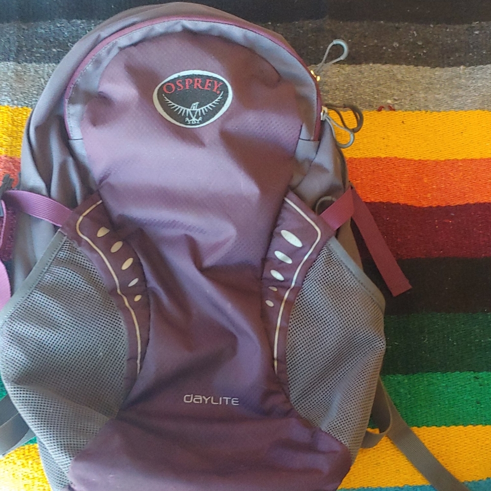 Osprey Day Pack